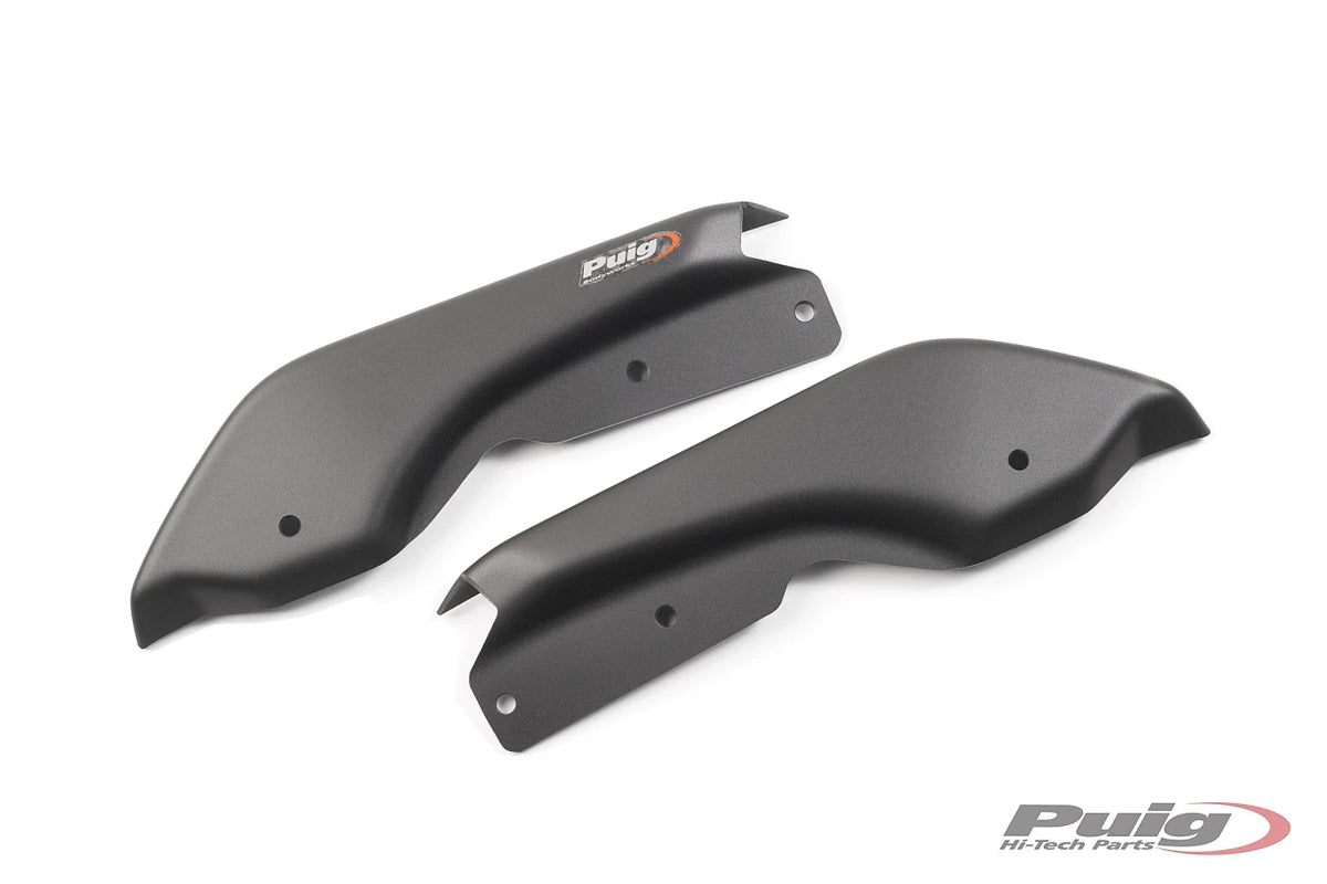 Puig Passenger Handle Replacers | BMW R1250R 2018-26 image 4