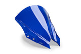 Cupolino Puig Z Racing Aprilia RS 660 (Factory) 2025-26
