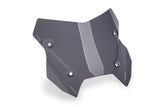 Cupolino sportivo Puig BMW R1300RS 2025-26