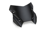 Cupolino sportivo Puig BMW R1300RS 2025-26