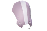 Cupolino touring Puig BMW R1300RS 2025-26