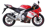 IXIL Hexoval Xtrem Inox Silencer Rieju RS3 125 2010-18