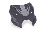 Cupolino sportivo Puig BMW R1300R 2025-26