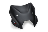 Cupolino sportivo Puig BMW R1300R 2025-26