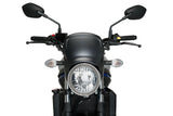 Piastra anteriore Puig Suzuki SV650 2016-26