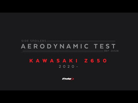 PUIG Downforce Naked Spoilers Kawasaki Z650 2020-24